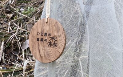 [ひと粒の真珠] 植樹活動を実施しました