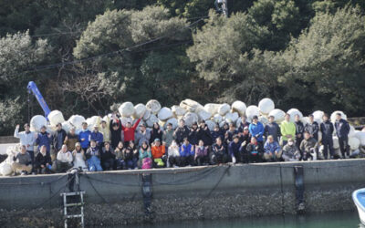 真珠養殖場の浜掃除を実施しました